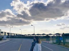 -南汇嘴观海公园