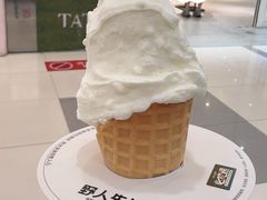 -野人先生Gelato(上海长宁龙之梦店)