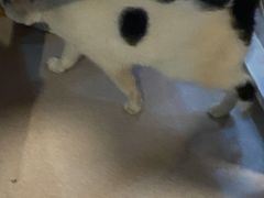 -CLUE演绎实景剧本杀(江南西店)