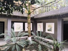 -南山植物园