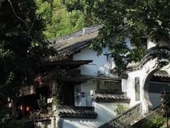 -龙井村