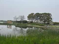 -阳澄湖半岛旅游度假区