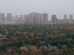 -重庆医科大学附属第一医院(金山院区)