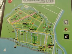 -合肥滨湖国家森林公园