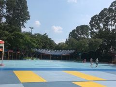 -广州长隆国际大马戏