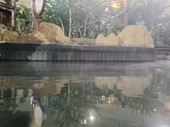 -青岛海泉湾度假区温泉