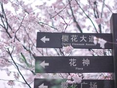 -南山植物园