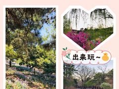 -北京西山国家森林公园