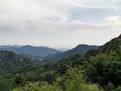 -大岭沟猕猴桃谷风景区