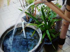 -Mai Mai Restaurant