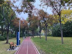 -新虹桥中心花园