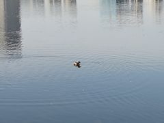-尚贤河湿地