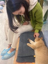 -阿噶西美甲美睫