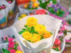 -循礼门鲜花花市(武汉循礼门店)