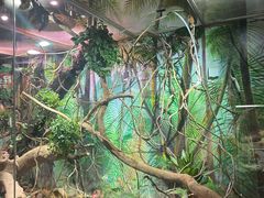 -正佳雨林生态植物园