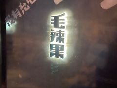 -毛辣果·酸