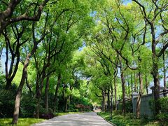 -上海虹桥迎宾馆