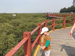 -北海金海湾红树林生态旅游区