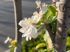 -济南国际园博园