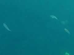 石槽海滨浴场-石槽海滨浴场