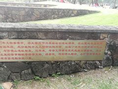 -王借岗森林公园