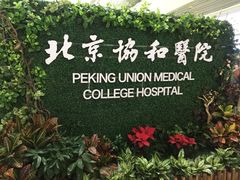 -北京协和医院(东单院区)