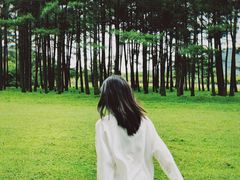 -石棉县孟获城