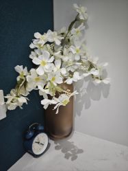 -Lily纤美·科技减脂中心