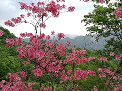 -西泰山风景区