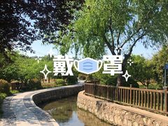 -林屋梅海青梅保护基地