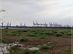 -汤山公园