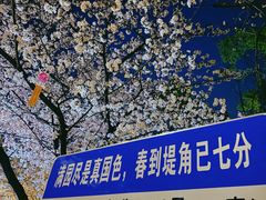 -堤角公园