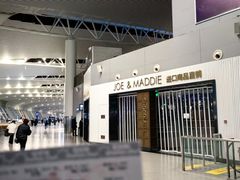 -合肥新桥国际机场-航站楼