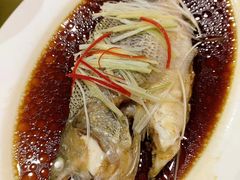 清蒸鲈鱼-东兴楼饭庄(六里桥店)