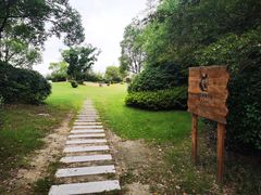 -上海崇明金茂凯悦酒店