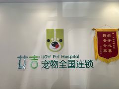 -艾吉宠物医院·疑难杂症转诊中心·猫友好(碧江路院)