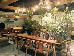 -柴务处·柴犬主题狗咖