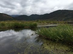 -泸沽湖国家级风景名胜区走婚桥