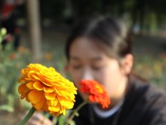 -艾溪湖湿地公园