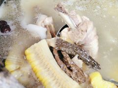 -墨脱石锅椰子鸡•香草鸭•东山羊(大东海店)