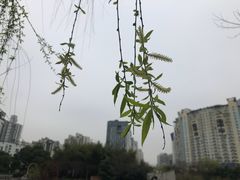 -苏州河梦清园环保主题公园