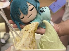 -野人先生现做冰淇淋(深圳壹方城店)