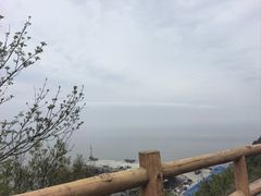 -大鹿岛