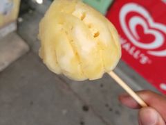 -珊瑚岛
