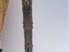 -飞来湖湿地公园