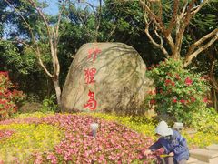 -野狸岛
