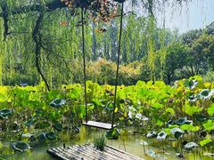 -洛阳市隋唐城遗址植物园