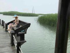 -太湖湖滨国家湿地公园-停车场