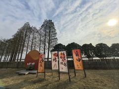 -太阳岛度假酒店