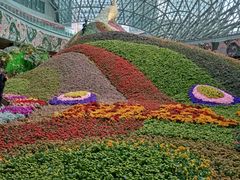 -花之城